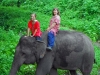 120705-04715-th-chiangmai-rantong-elephants-eryn-susan