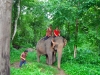120705-04765-th-chiangmai-rantong-elephants-ethan-jerry