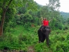 120705-04850-th-chiangmai-rantong-elephants-ethan-susan