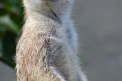 Western Cape Province