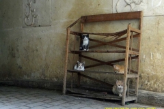 Fes and Surrounds