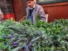 130413-23763-ma-fes-street-scene-herb-vendor