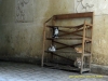 130415-23801-ma-fes-street-scene-cats