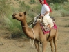 120809-03530-in-jaisalmer-thar-desert-camels-ethan