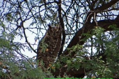 Northern Cape Province