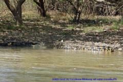 Northern Territory