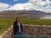 130223-19895-cl-putre-p-n-lauca-altiplano-volcan-parinacota-lago-chungara-susan