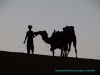 130408-23645-ma-sahara-erg-chebbi-our-camels